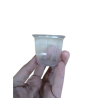 Copo 50ml Totalplast Transparente PP 50X100