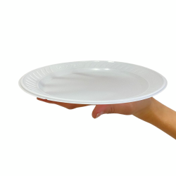 Prato Raso 21cm Branco para Refeição Fonplast 5.000 unidades