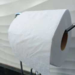 Papel Higiênico Folha Dupla Ness 16 pacotes de 4 rolos com 30m