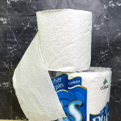 Papel Higiênico Folha Simples Carinho Plus 16 pacotes de 4 rolos com 30m