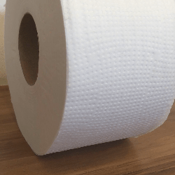 Papel Higiênico Rolão Folha Simples 100% Celulose Alveflor 8 rolos de 300m