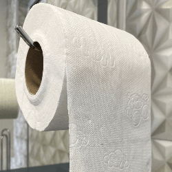 Papel Higiênico Folha Dupla Fofinho 24 pacotes com 4 rolos cada de 30m