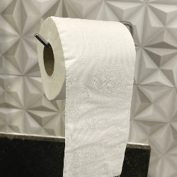 Papel Higiênico Folha Dupla Fofinho Absolute 24 pacotes com 4 rolos de 30m