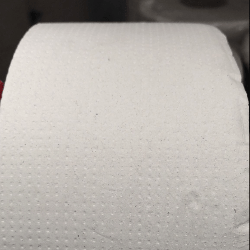 Papel Higiênico Folha Simples 100% Celulose Institucional em Rolo Bonifaz 8 rolos de 300m