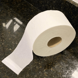 Papel Higiênico Rolão 100% Celulose Folha Simples Fitness Nobre 8 rolos de 250m