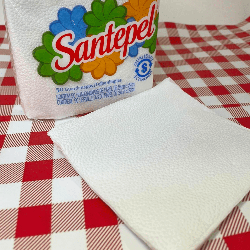 Guardanapo Folha Simples 24x22cm Santepel 4.000 Folhas