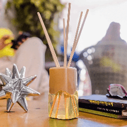 Difusor de Aromas Orquídea Coala 100ml