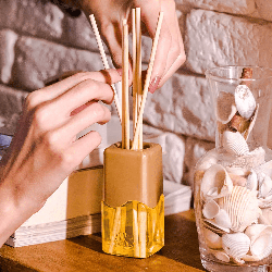 Difusor de Aromas Flor de Figo Coala 100ml