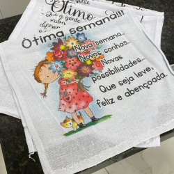 Pano de Prato 38x60cm Estampas Variadas Novacov 6 unidades