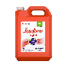 Desinfetante Lysoform Bruto 5L